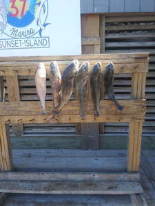 Catch of the day: Redfish 